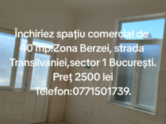 Berzei, strada Transilvaniei nr. 70 Bucuresti